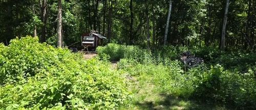 33810 Wildberry Ln, Pequot Lakes, MN, 56472-3946 | Card Image