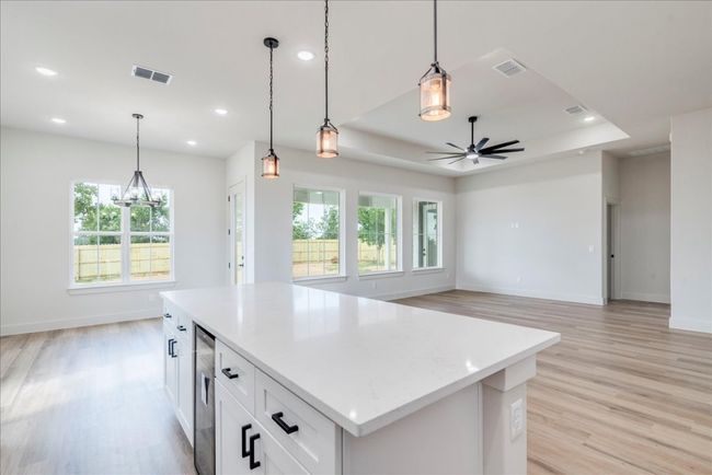 Kitchen with healthy amount of natural light, light wood-style floors, a tray ceiling, and recessed lighting | Image 11