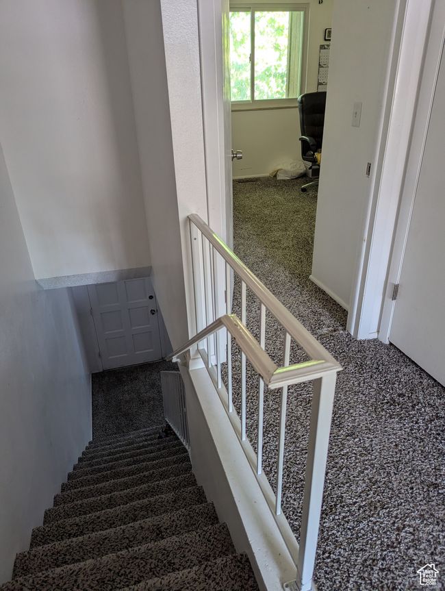Staircase featuring carpet floors | Image 10