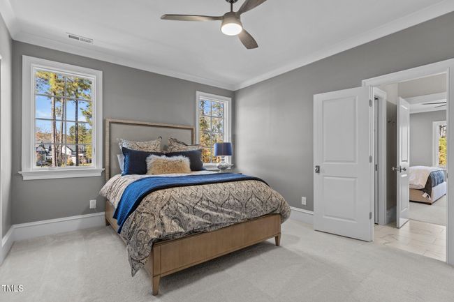 49-web-or-mls-IMGL7287 | Image 46