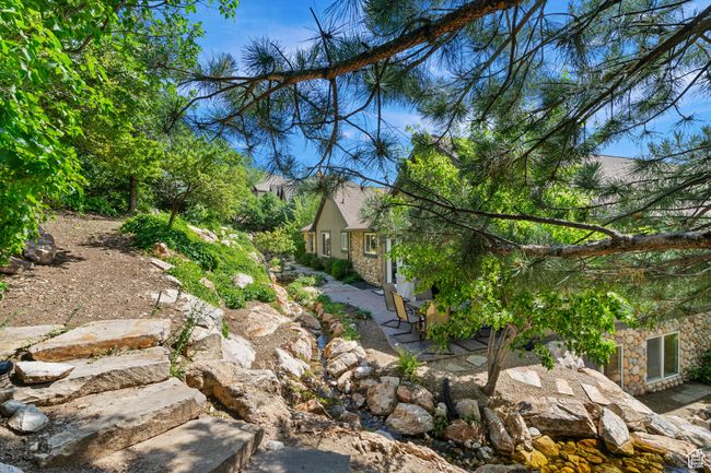 View of yard featuring a patio area | Image 46
