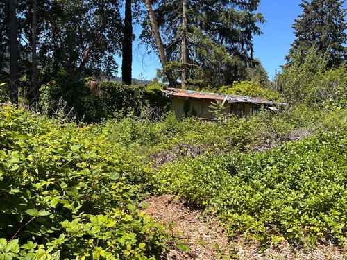 312 Forest View Dr, Willow Creek, CA, 95573-9808 | Card Image