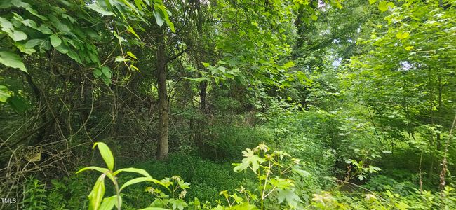 20240613_151128 | Image 18