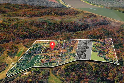 TRACT 4 E Cedar Tree Ln, HARTSBURG, MO, 65039 | Card Image