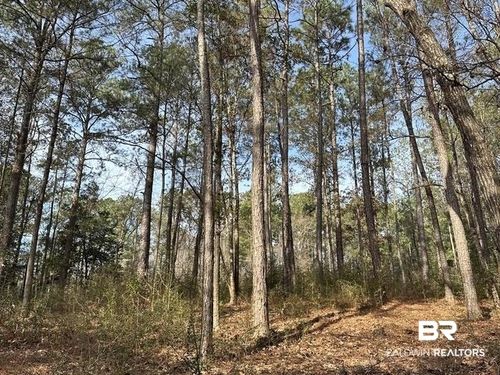 21&22 Flat Creek Dr, Bay Minette, AL, 36507 | Card Image