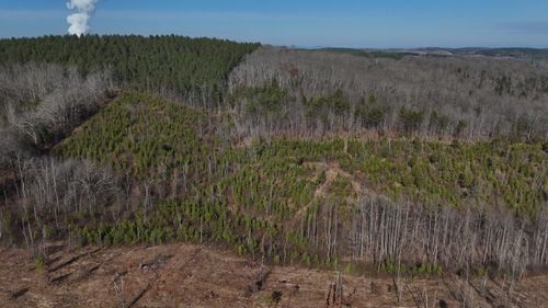 00 Big Sewee Rd, Decatur, TN, 37322 | Card Image