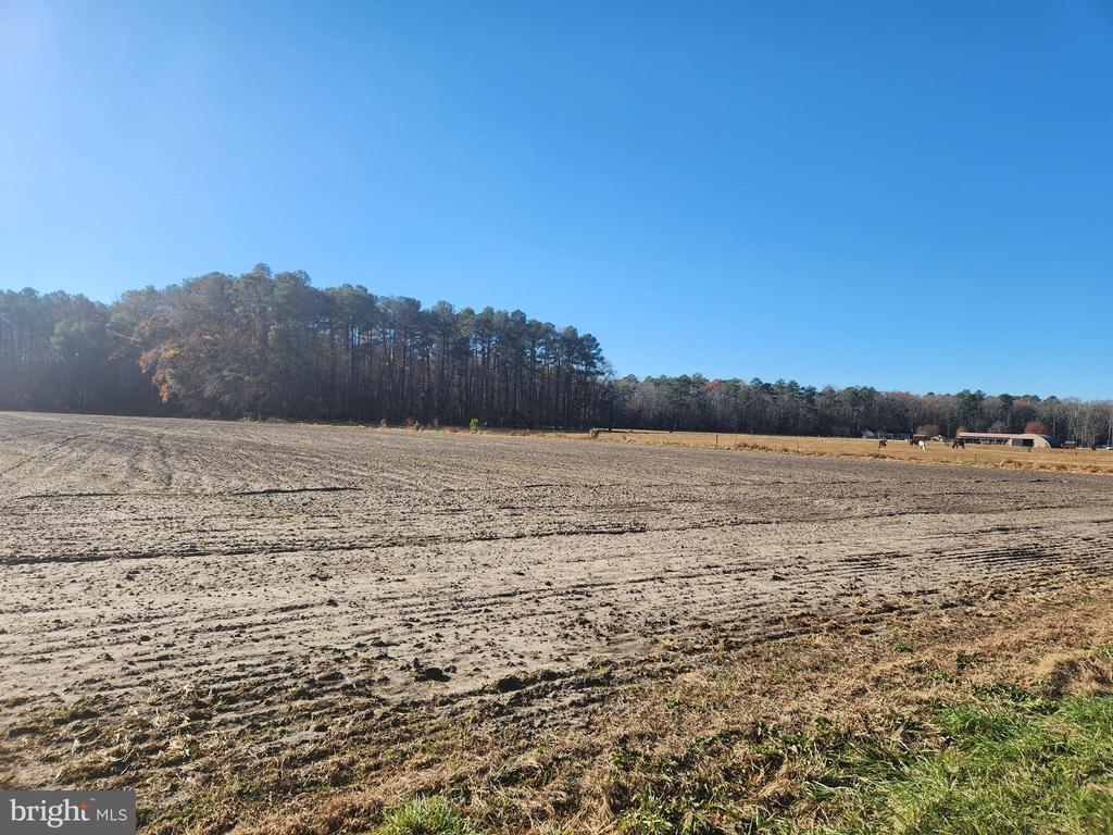 Land in LAUREL 3