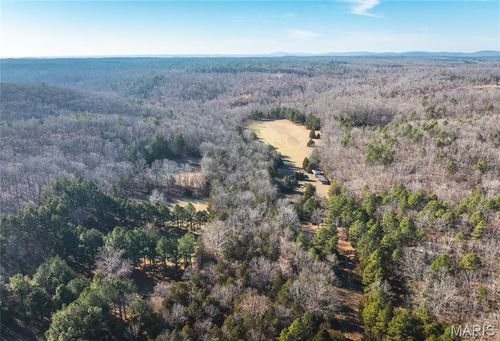 000 Wayne 224a, Greenville, MO, 63944 | Card Image