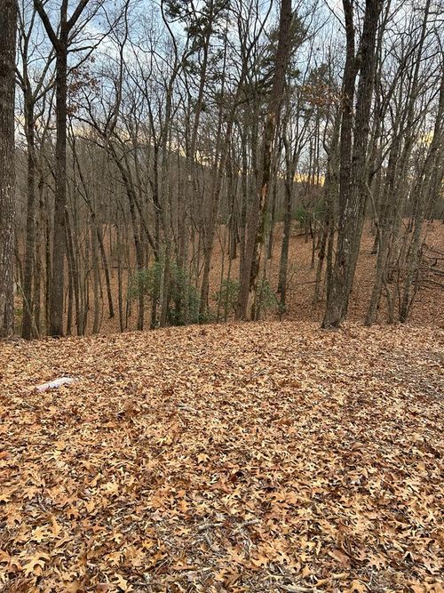 0 Tracks Holw, Murphy, NC, 28906 | Card Image