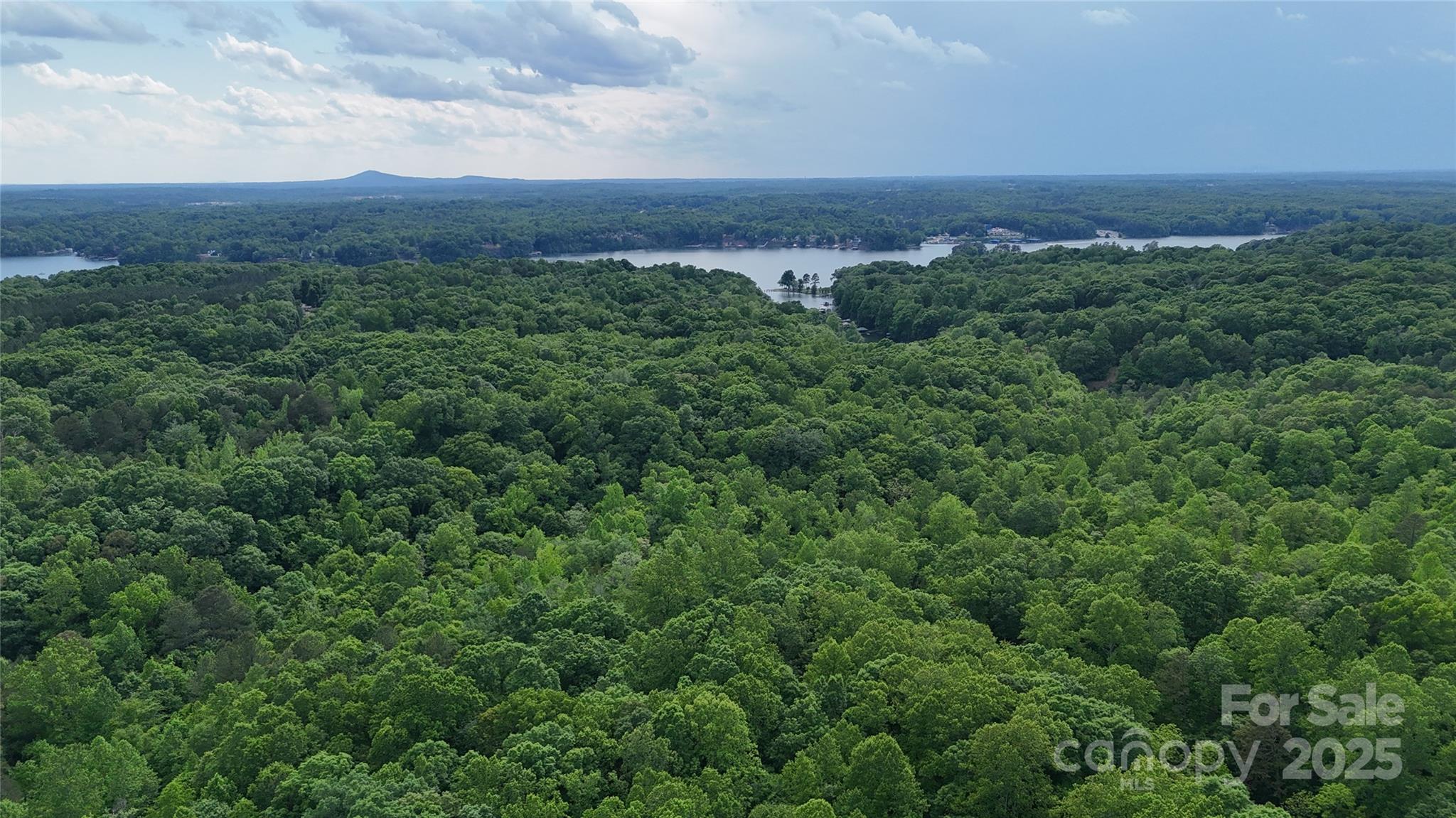 Land in Statesville 4