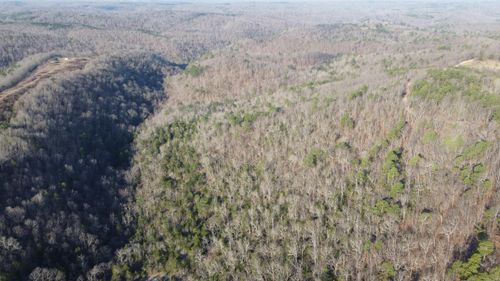 000 Schnauzer Ln, Harriet, AR, 72639 | Card Image