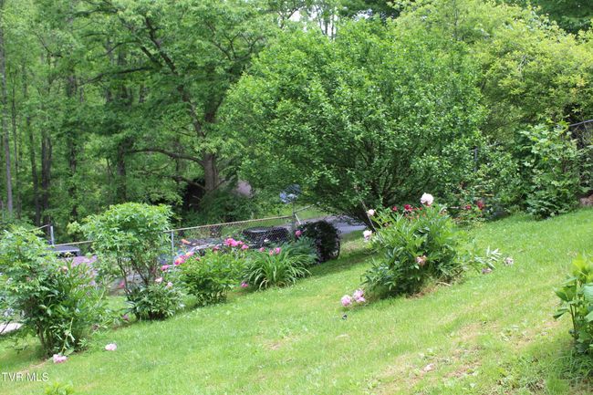 2967 Left Poor Valley Rd, House other with 2 bedrooms, 1 bathrooms and null parking in Pennington Gap VA | Image 5