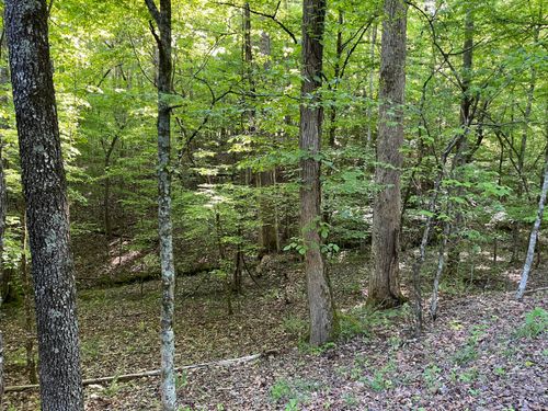 329-328329 Omega Dr, Spring City, TN, 37381 | Card Image