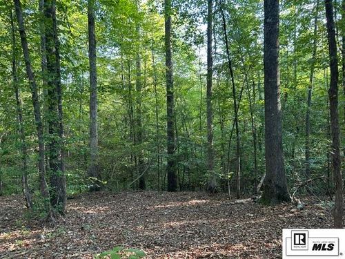 00 Tiger Bend Rd, Marion, LA, 71260 | Card Image
