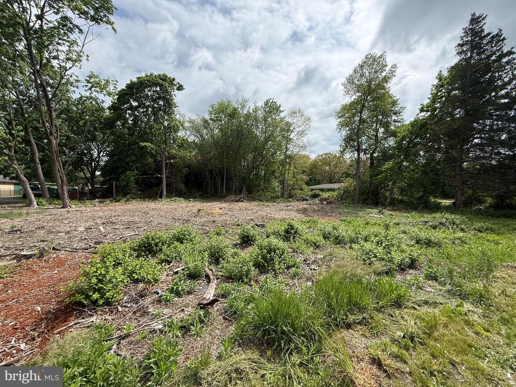 Land in FRANKLINVILLE 3