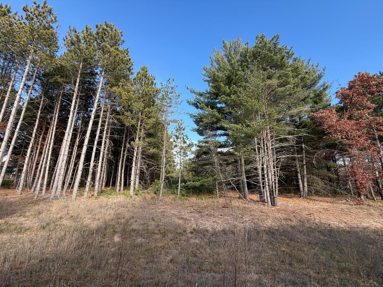 Land in Big Lake