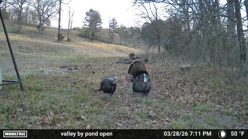 Co Rd 321 Route 5, Ava, MO, 65608 | Card Image