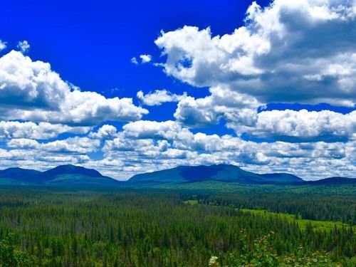 231 Adirondack Mountain Trail, Malone, NY, 12953 | Card Image