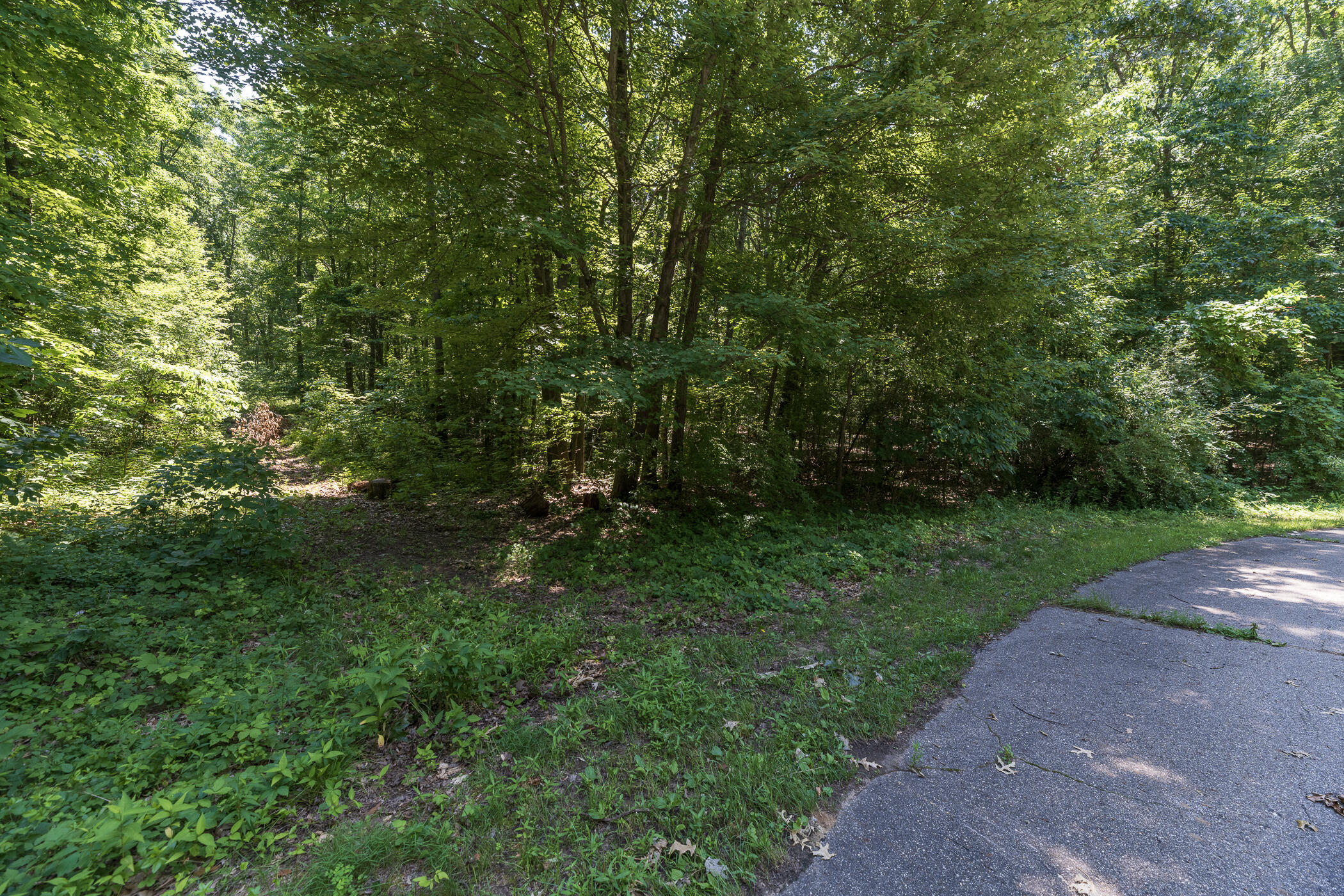 Land in Kalamazoo 5