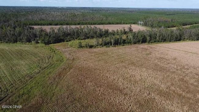 00 State Road 71 N, Home with 0 bedrooms, 0 bathrooms and null parking in Altha FL | Image 8