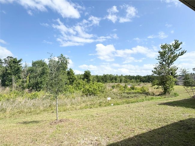 4278 Sagefield Dr, House other with 4 bedrooms, 2 bathrooms and null parking in HARMONY FL | Image 30