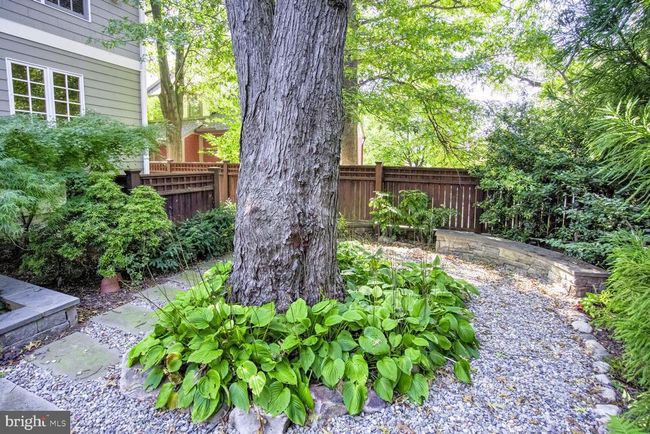 4501 Walsh St, House other with 7 bedrooms, 6 bathrooms and null parking in CHEVY CHASE MD | Image 41