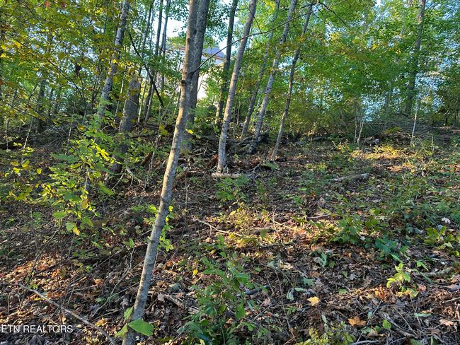 778 Russell Bros Rd, Home with 0 bedrooms, 0 bathrooms and null parking in Sharps Chapel TN | Image 9