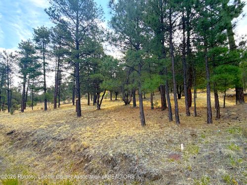 Lot 66 Fort Stanton Rd, Alto, NM, 88312 | Card Image