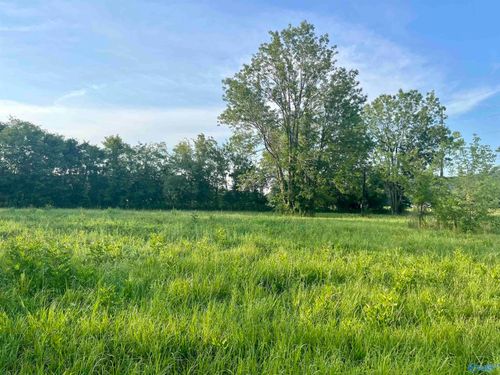 lot-1of2-8148 Highway 431 S, Owens Cross Roads, AL, 35763-8918 | Card Image