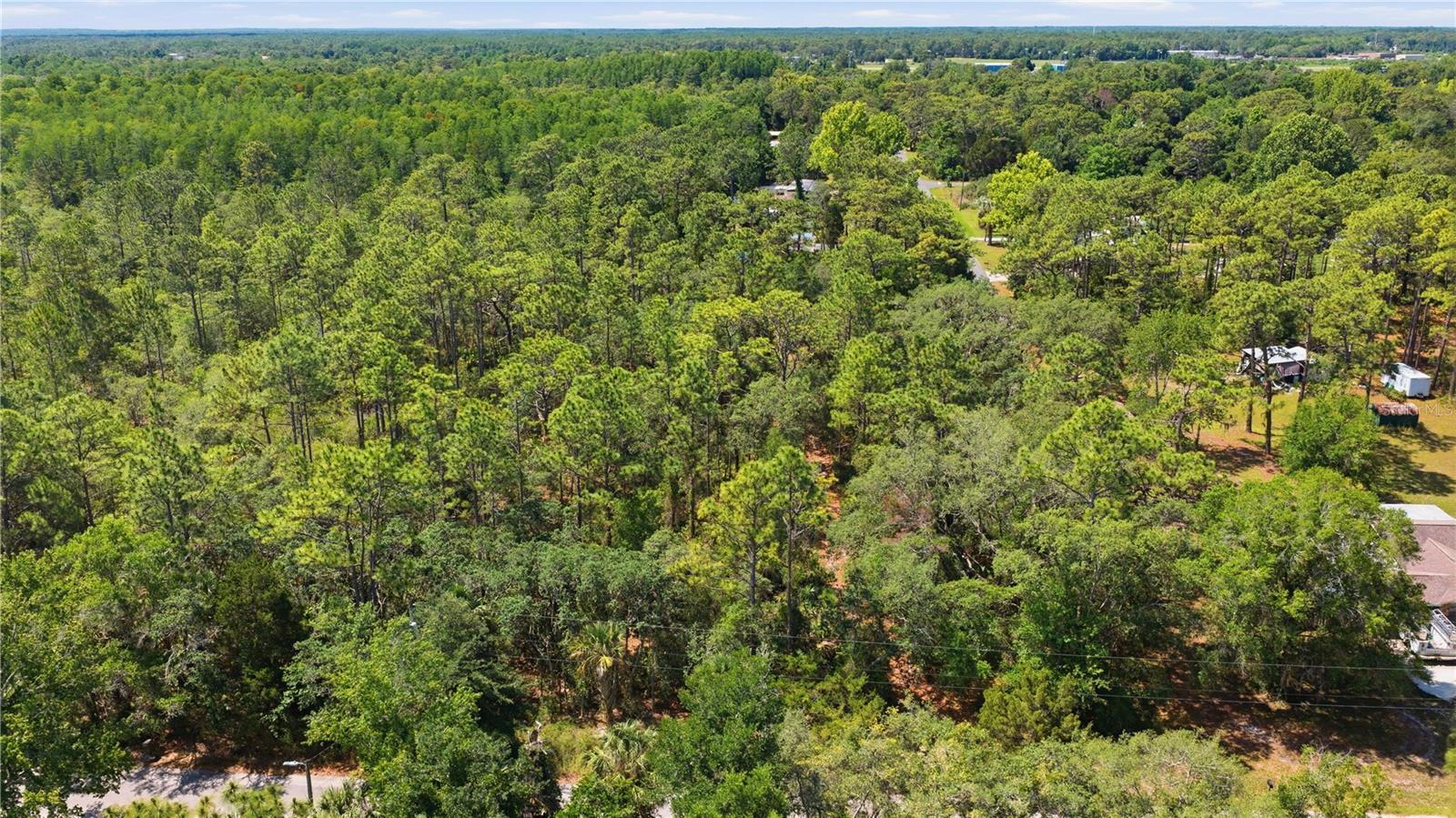 Land in CRYSTAL RIVER 3