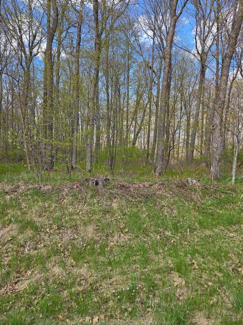 TBD Nicholas St, Grand Rapids, MN, 55744 | Card Image