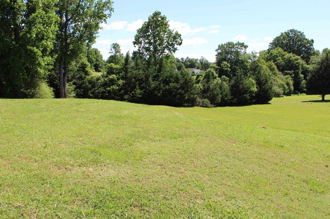 000 Thompson Rd, Home with 0 bedrooms, 0 bathrooms and null parking in Rutherfordton NC | Image 13