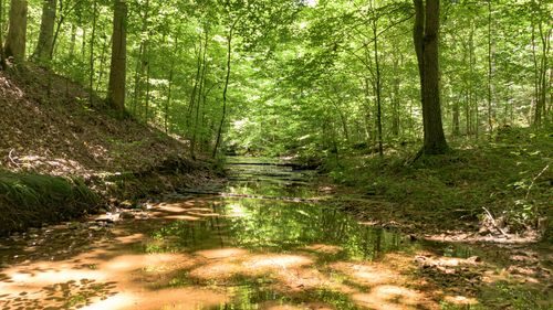 8234 Old Pond Creek Rd, Pegram, TN, 37143-9447 | Card Image