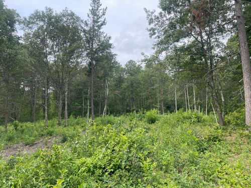 Lot 4 Patriot Ave, Pequot Lakes, MN, 56472 | Card Image