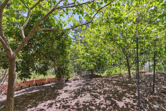 310 Sunny Patch Ln, House other with 1 bedrooms, 1 bathrooms and 4 parking in Ben Lomond CA | Image 32