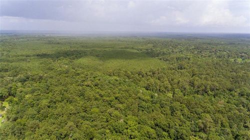 TBD Old Beaumont Hwy, Silsbee, TX, 77656 | Card Image
