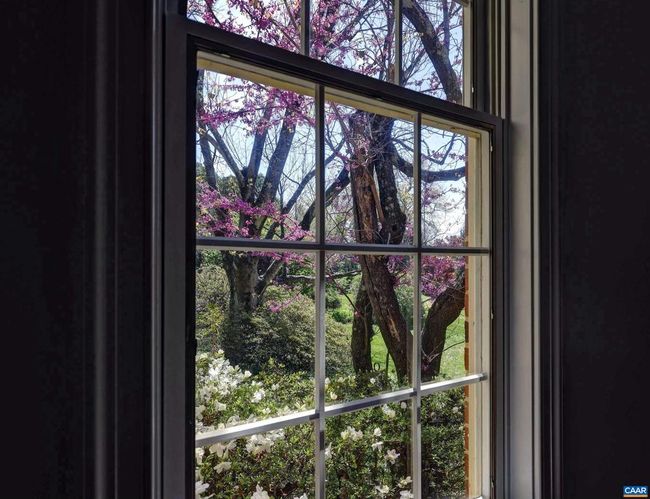 1124 Dryden Ln, Townhouse with 3 bedrooms, 3 bathrooms and null parking in CHARLOTTESVILLE VA | Image 19