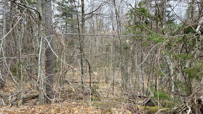 9 Perch Close, Home with 0 bedrooms, 0 bathrooms and null parking in Becket MA | Image 7