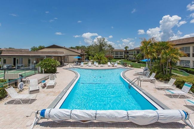Community Pool | Image 7