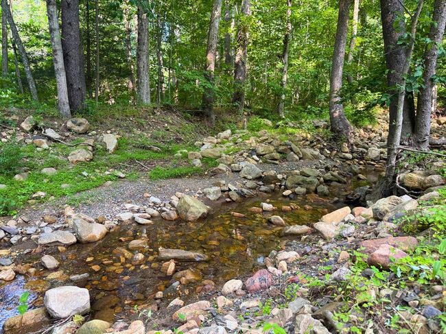 2804 Potts Creek Rd, House other with 3 bedrooms, 2 bathrooms and null parking in Covington VA | Image 60
