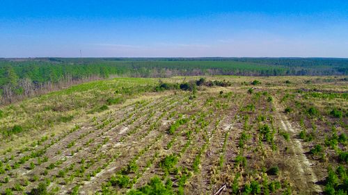 000 Three Notch Rd, Monetta, SC, 29105 | Card Image