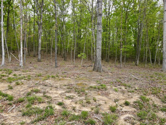 0 Deerwood Dr, Home with 0 bedrooms, 0 bathrooms and null parking in Sewanee TN | Image 20