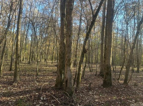260910 Hollis Rd, Rison, AR, 71665 | Card Image