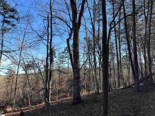 00 Hawkins Ln, Mill Spring, NC, 28756 | Card Image