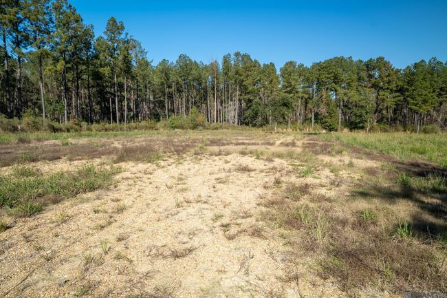 26561 James Chapel Rd N, Home with 0 bedrooms, 0 bathrooms and null parking in Holden LA | Image 7