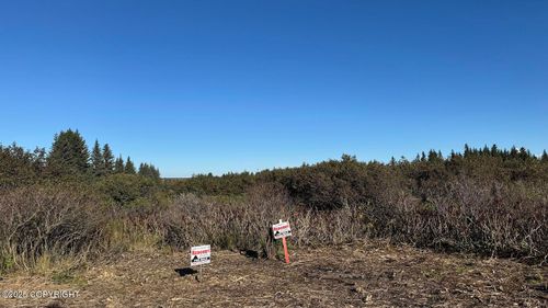 17338 Tidal Knoll Rd, Ninilchik, AK, 99639 | Card Image