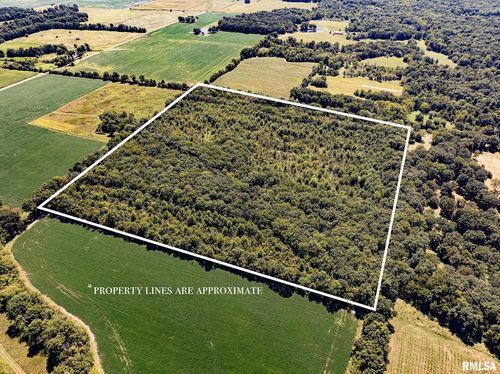 0 Hanna Rd, Kinmundy, IL, 62854 | Card Image