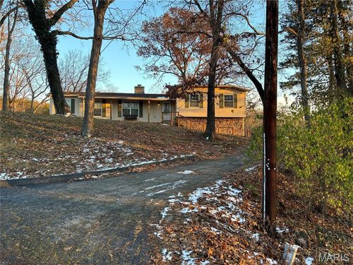 5 Seclusion Woods, Festus, MO, 63028-4110 | Card Image