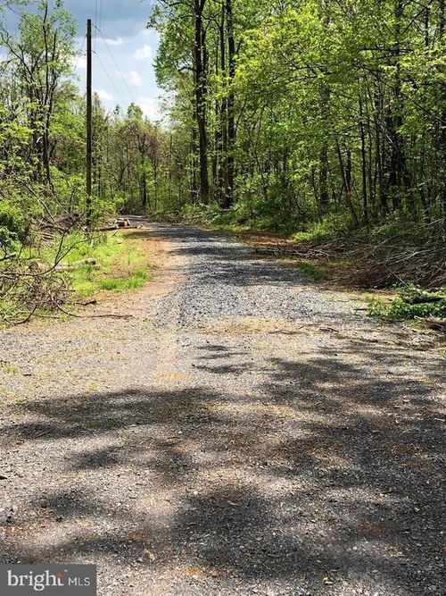 0 Old Orchard Rd, LINDEN, VA, 22642 | Card Image