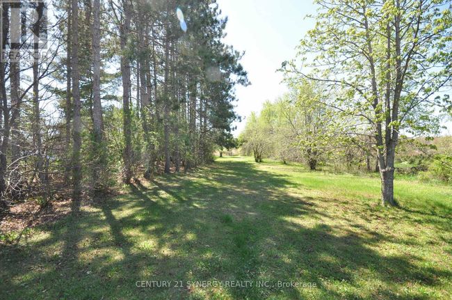 12009 Highway 15, House other with 3 bedrooms, 1 bathrooms and 6 parking in Smiths Falls ON | Image 39